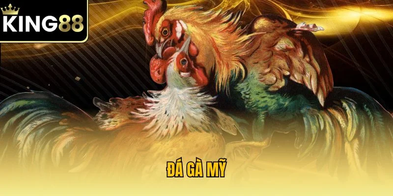 Đá Gà Mỹ |Khám Phá Tựa Game Kịch Tính Thu Hút Người Chơi