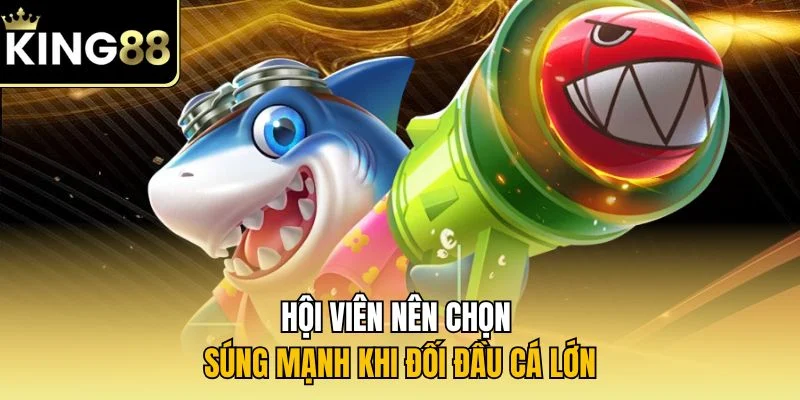 Hội viên nên chọn súng mạnh khi đối đầu cá lớn