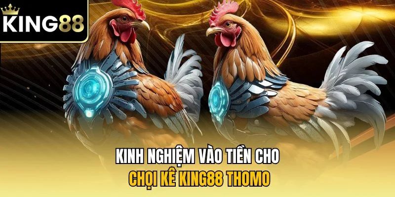 Kinh nghiệm vào tiền cho chọi kê KING88 Thomo