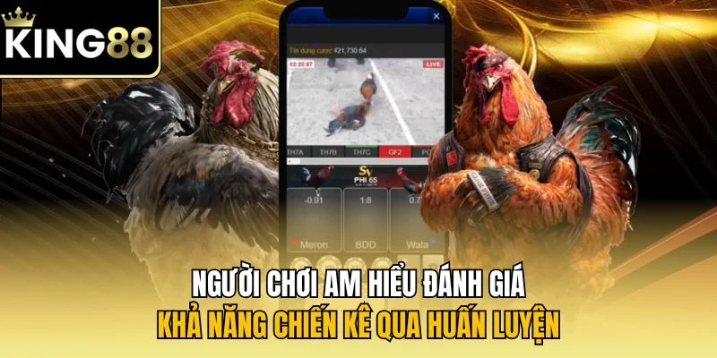Người chơi am hiểu đánh giá khả năng chiến kê qua huấn luyện