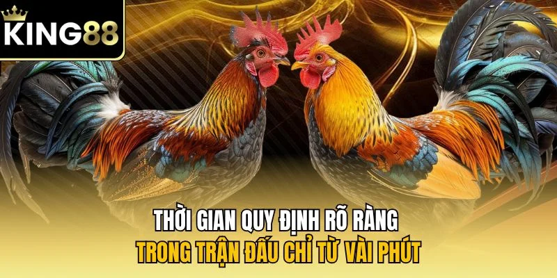 Thời gian quy định rõ ràng trong trận đấu chỉ từ vài phút