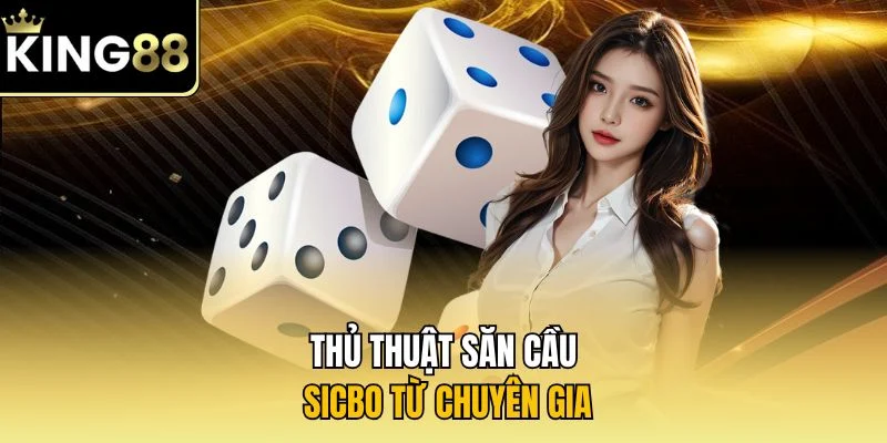 Thủ thuật săn cầu Sicbo từ chuyên gia